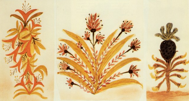 Plantes et fleurs martiennes