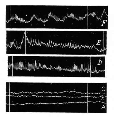 Figure 2. Tremblements