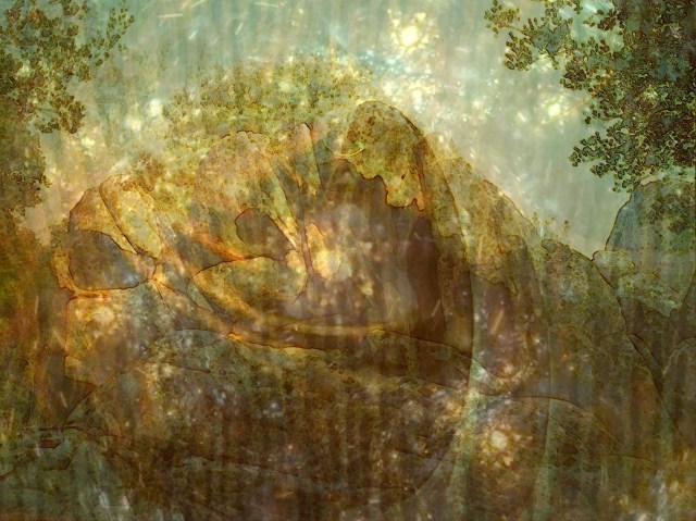 Page 21 la machoire du monde