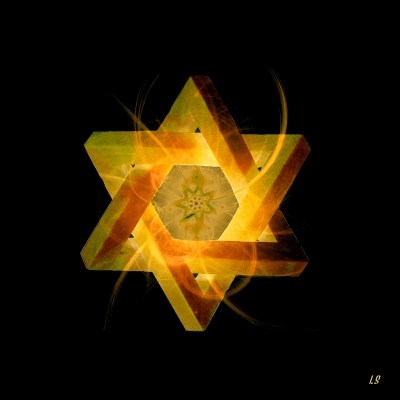 L'Odradek attrafractaire 1