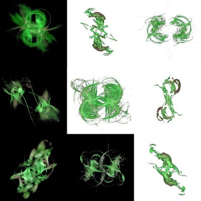 3-1. Cryptoglyphes nus