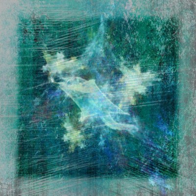 Bidju, la planeur sucre