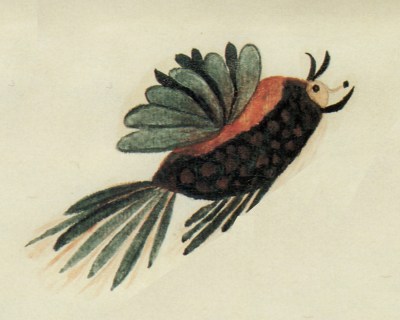 Insecte ultramartien 1