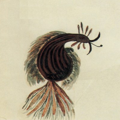 Insecte ultramartien 2