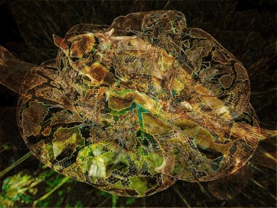 La maladie de MindieBidju