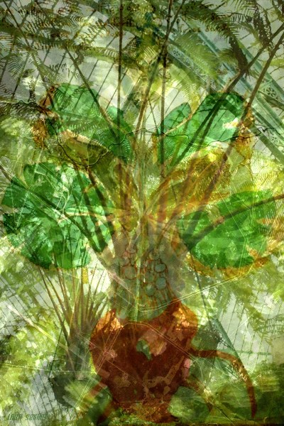 Laïla Sekhat - Jétule Baronime 2