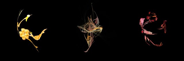 Le visage qu'on aime