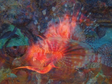 Mort dans les profondeurs