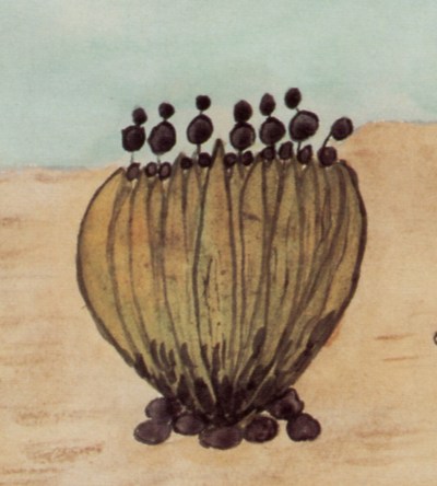 Plante extra-terrestre