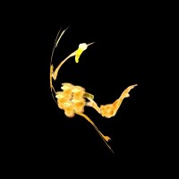 Pourtant la claire présence