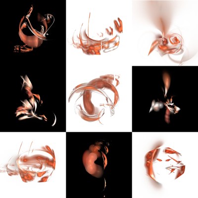 1-1. Cryptoglyphes nus