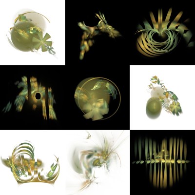 1-1. Cryptoglyphes nus