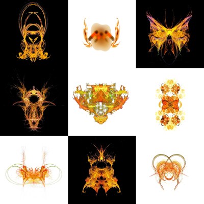 1-1. Cryptoglyphes nus