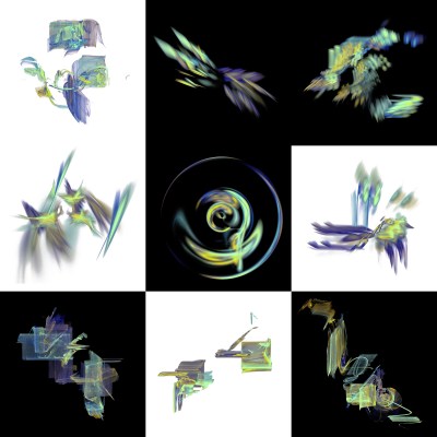 1-1. Cryptoglyphes nus