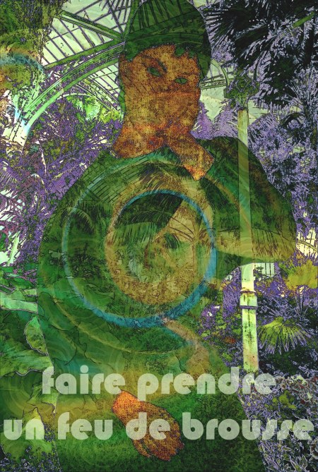 1-1. Faire prendre un feu de brousse 1