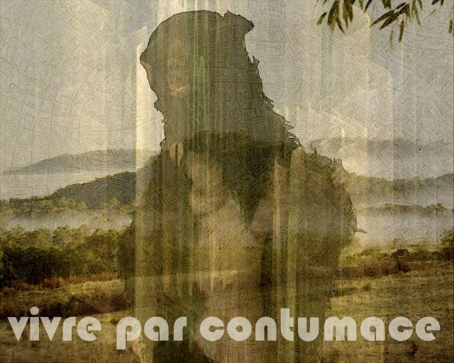 1-2. Vivre par contumace 2