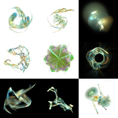 2-1. Cryptoglyphes nus