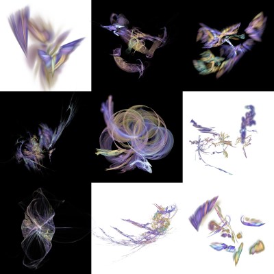 2-1. Cryptoglyphes nus