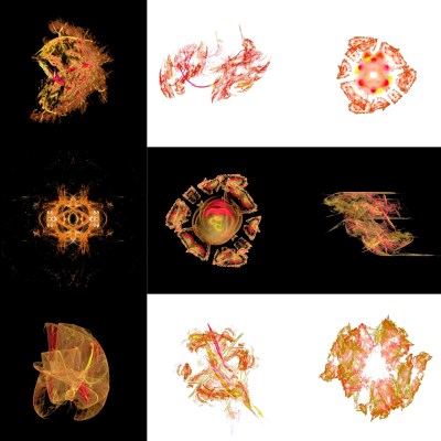 2-1. Cryptoglyphes nus