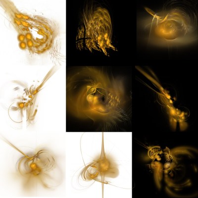 3-1. Cryptoglyphes nus