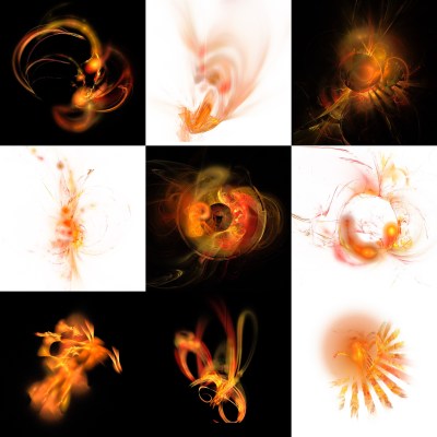 3-1. Cryptoglyphes nus