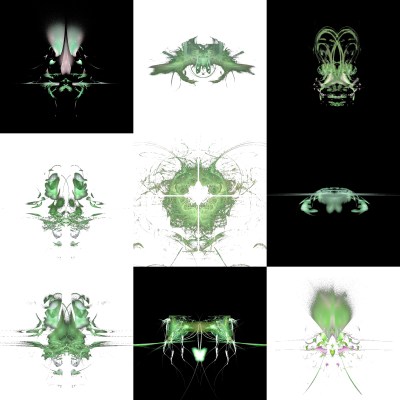 3-1. Cryptoglyphes nus