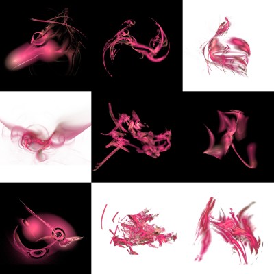 3-1. Cryptoglyphes nus