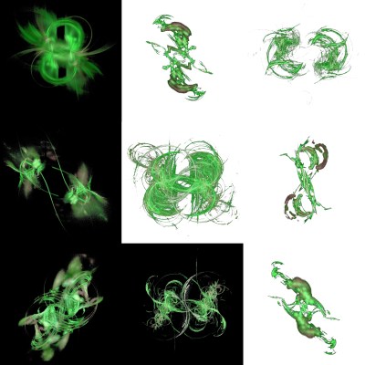 3-1. Cryptoglyphes nus