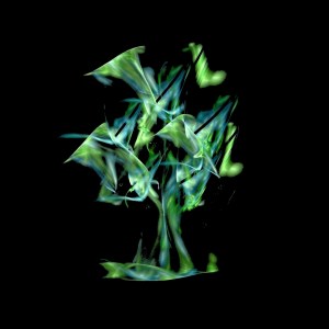 4-1. Cryptoglyphe central