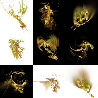 4-1. Cryptoglyphes nus