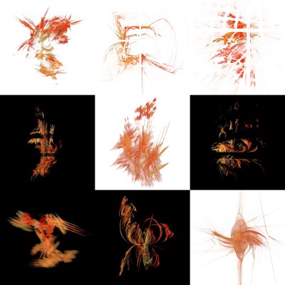 4-1. Cryptoglyphes nus