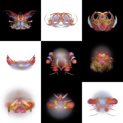 4-1. Cryptoglyphes nus