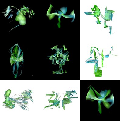 4-1. Cryptoglyphes nus