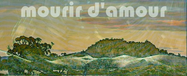 4-1. Mourir d'amour 2