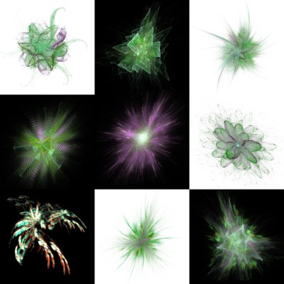 5-1. Cryptoglyphes nus