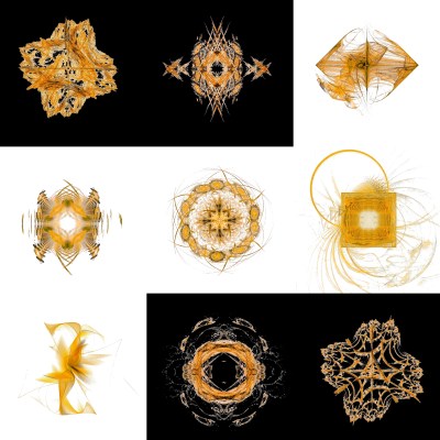 5-1. Cryptoglyphes nus