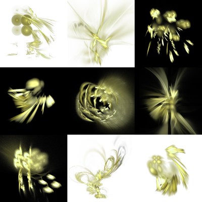 5-1. Cryptolgyphes nus