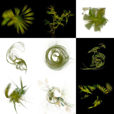 6-1. Cryptoglyphes nus