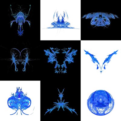 6-1. Cryptoglyphes nus