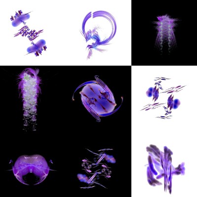 6-1. Cryptoglyphes nus