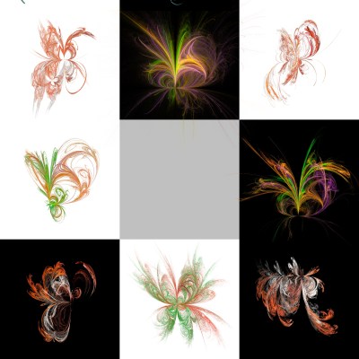 7-1. Cryptoglyphes nus