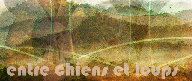 7-1. Entre chiens et loups 2