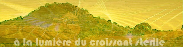 8-1. A la lumiere du croissant sterile 2