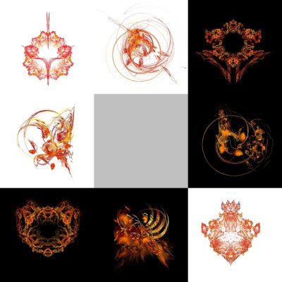 8-1. Cryptoglyphes nus