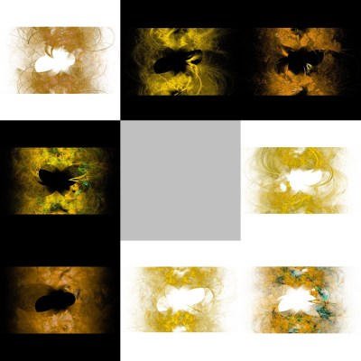 8-1. Cryptoglyphes nus