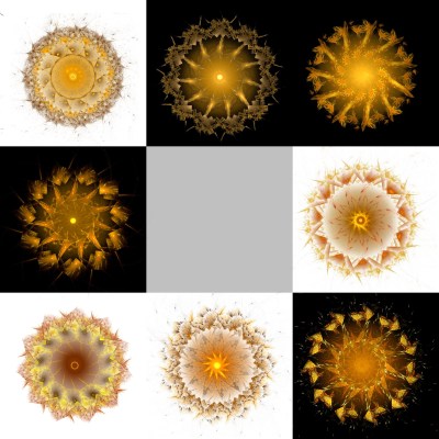 8-1. Cryptoglyphes nus