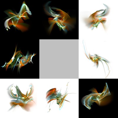 8-1. Cryptoglyphes nus