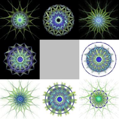 9-1. Cryptoglyphes nus