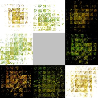 9-1. Cryptoglyphes nus