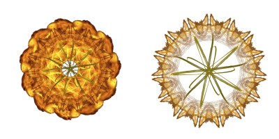 Composition d'un petit mandala, face 6-1
